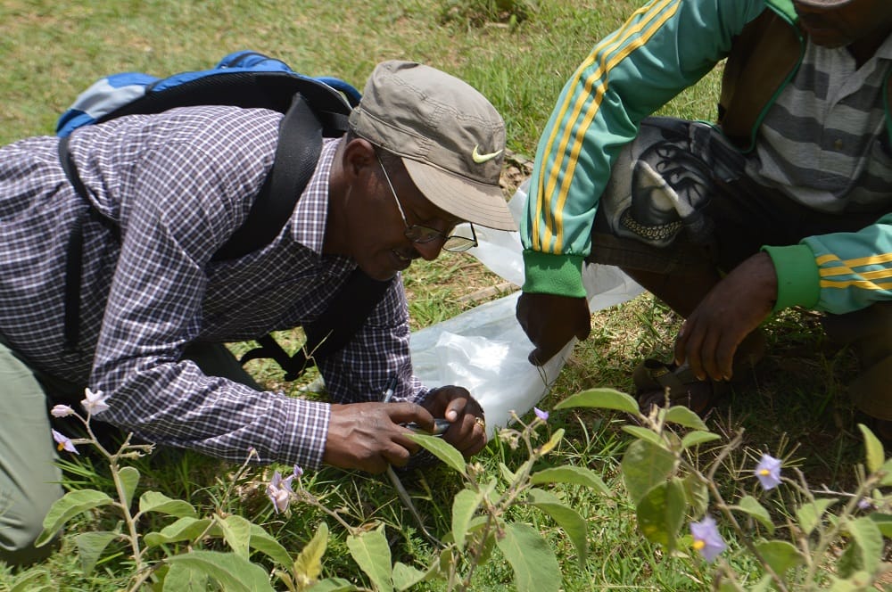 YES Brands - ESG Action Plan