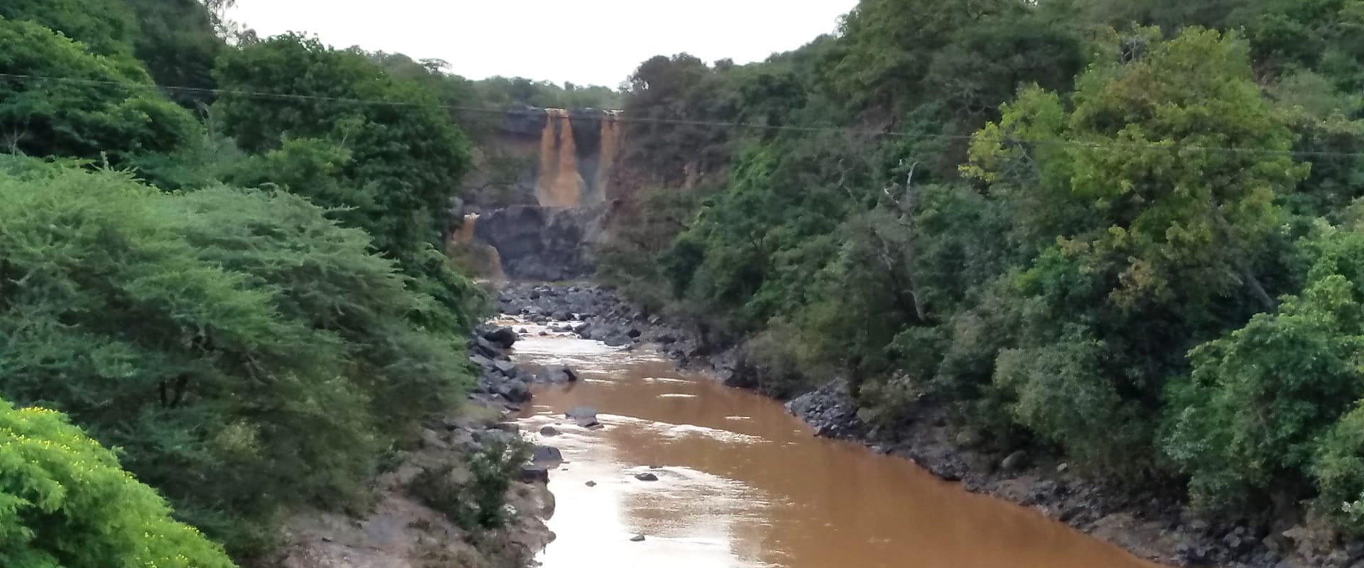 Siemens - Environmental Impact Assessment